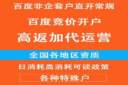 搜索引擎营销（SEM）专员的挑战与机遇
